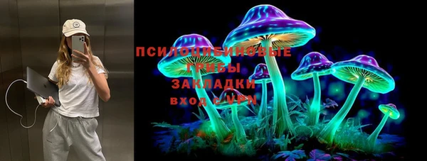 крисы Абаза
