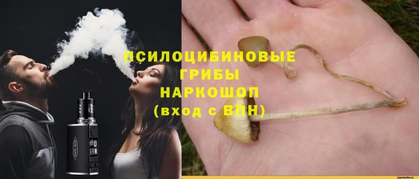 крисы Абаза