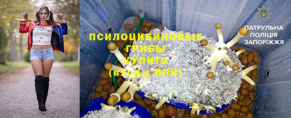 крисы Абаза