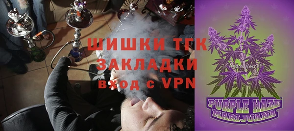 крисы Абаза
