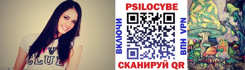 Псилоцибиновые грибы MAGIC MUSHROOMS  где купить наркоту  Торопец 